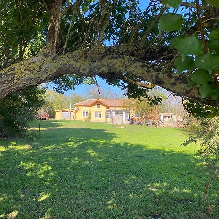 Ferienhaus Primorska Sunshine In Strandnaehe Shabla Exterior photo